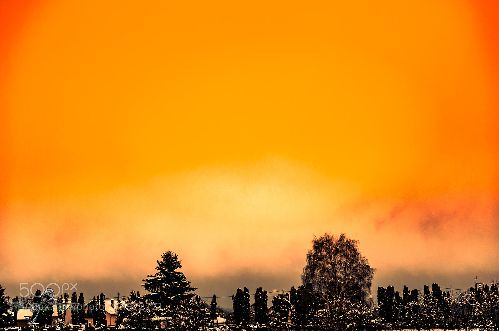 Nikon D90 sample photo. Winter photography