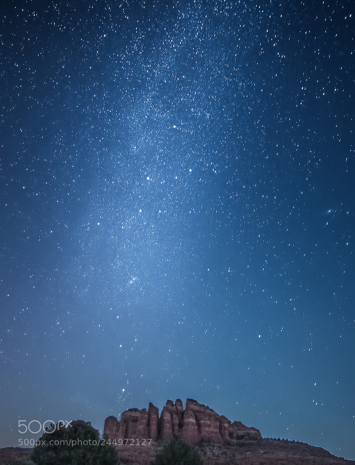 Nikon D800 sample photo. Stars over cathedral rock photography