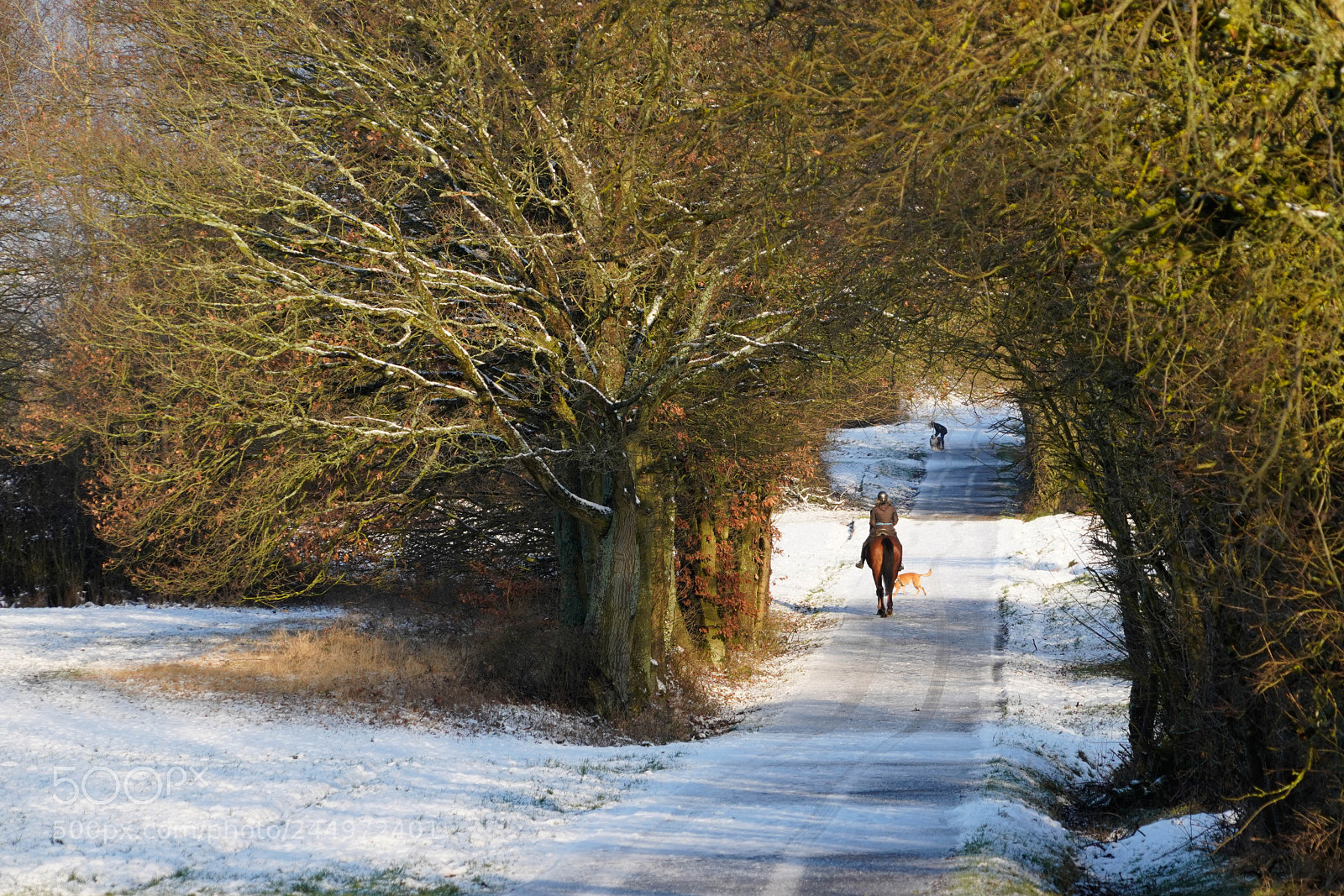 Sony a7R III sample photo. Winter ride photography