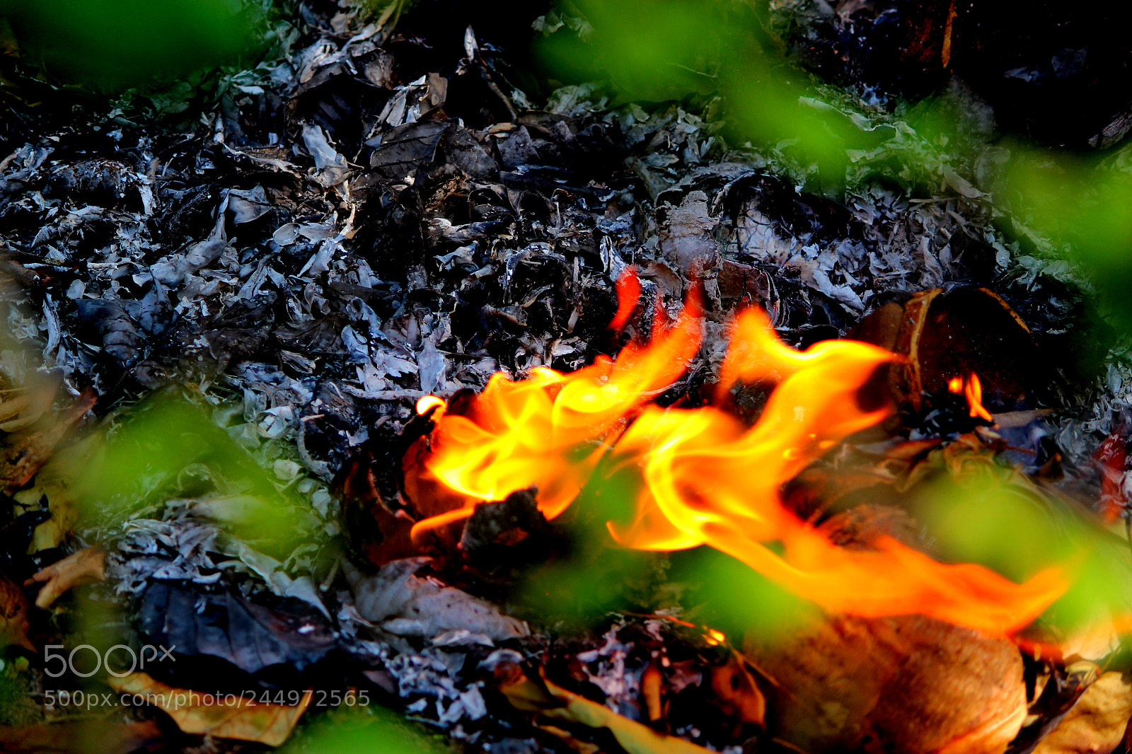 Canon EF-S 55-250mm F4-5.6 IS II sample photo. Flame photography