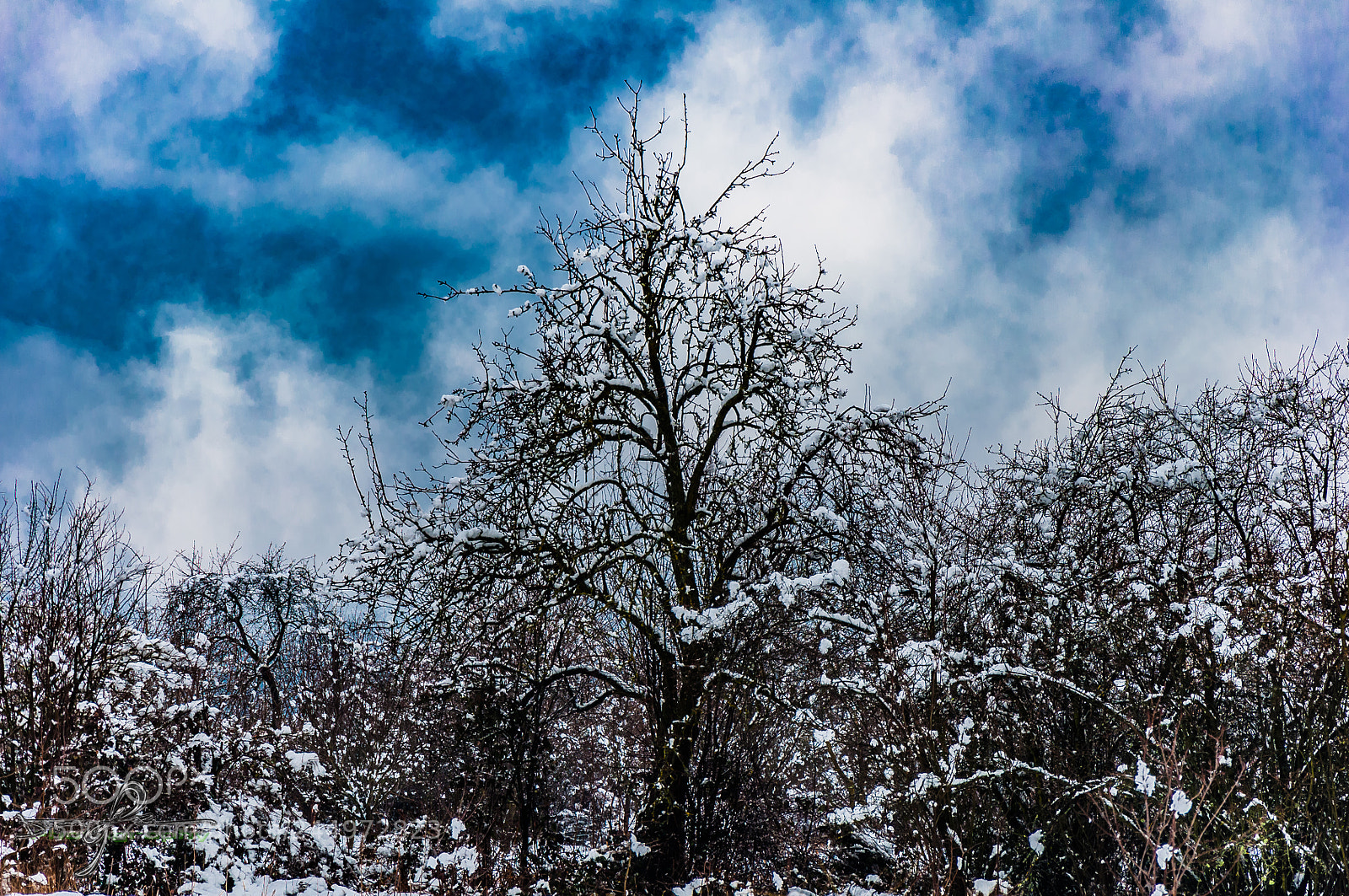 Nikon D90 sample photo. Winter sky photography