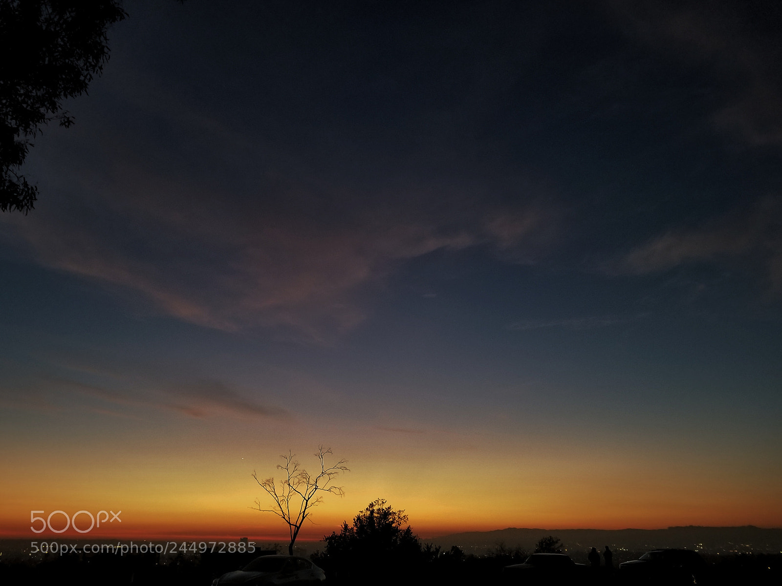 Samsung Galaxy S8+ sample photo. 34/365 photography