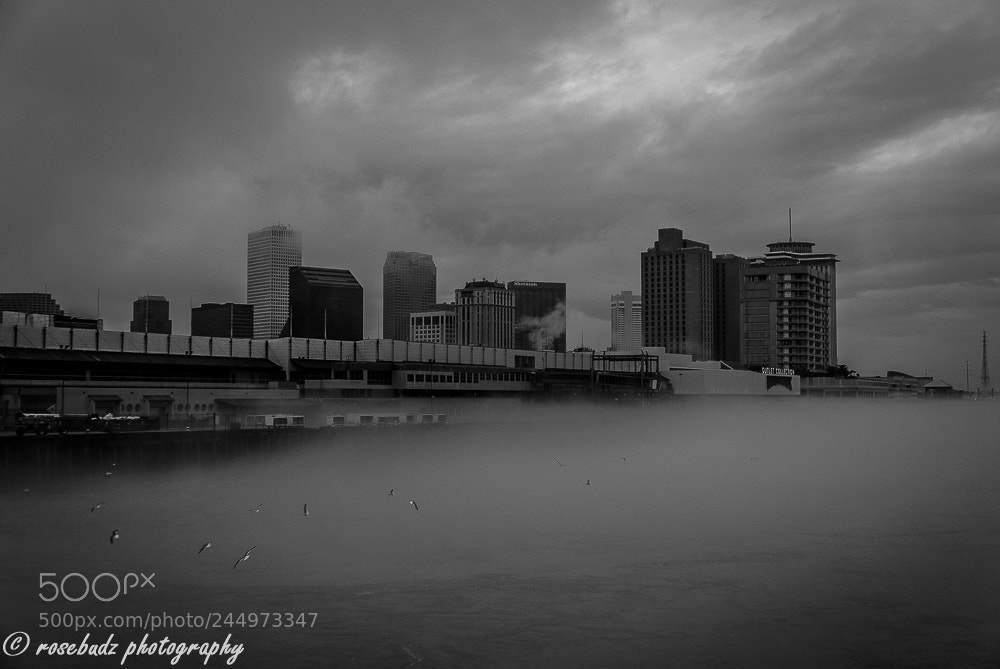 Nikon D60 sample photo. New orleans in fog photography