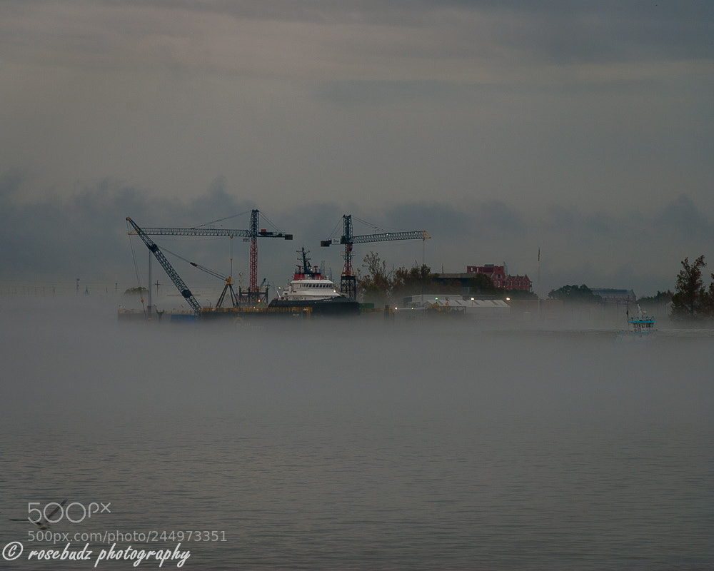 Nikon D60 sample photo. Ships in fog on photography