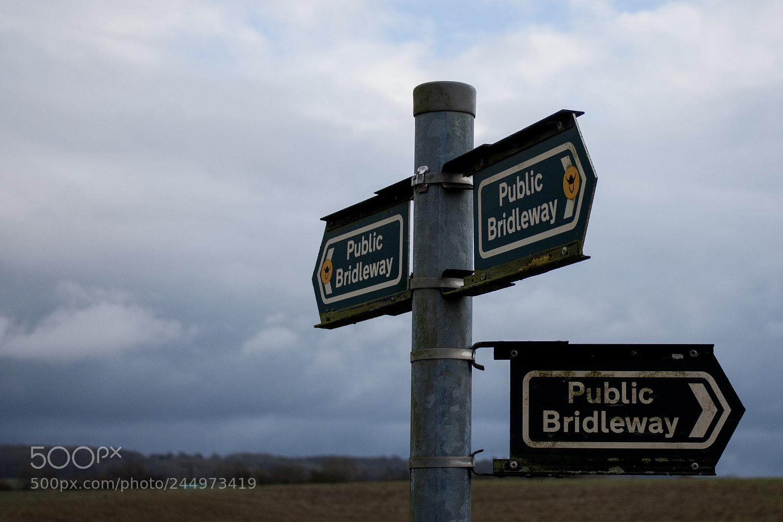 Canon EOS 40D sample photo. Decisions....? photography
