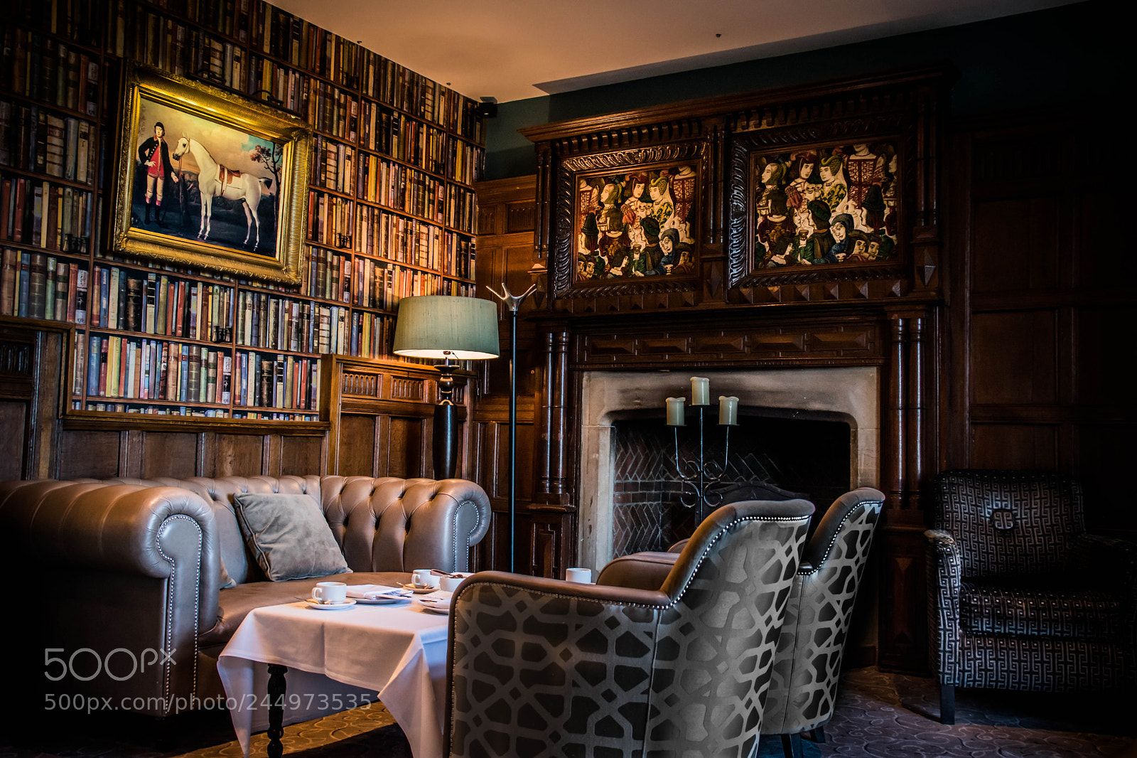 Nikon D5600 sample photo. Library photography
