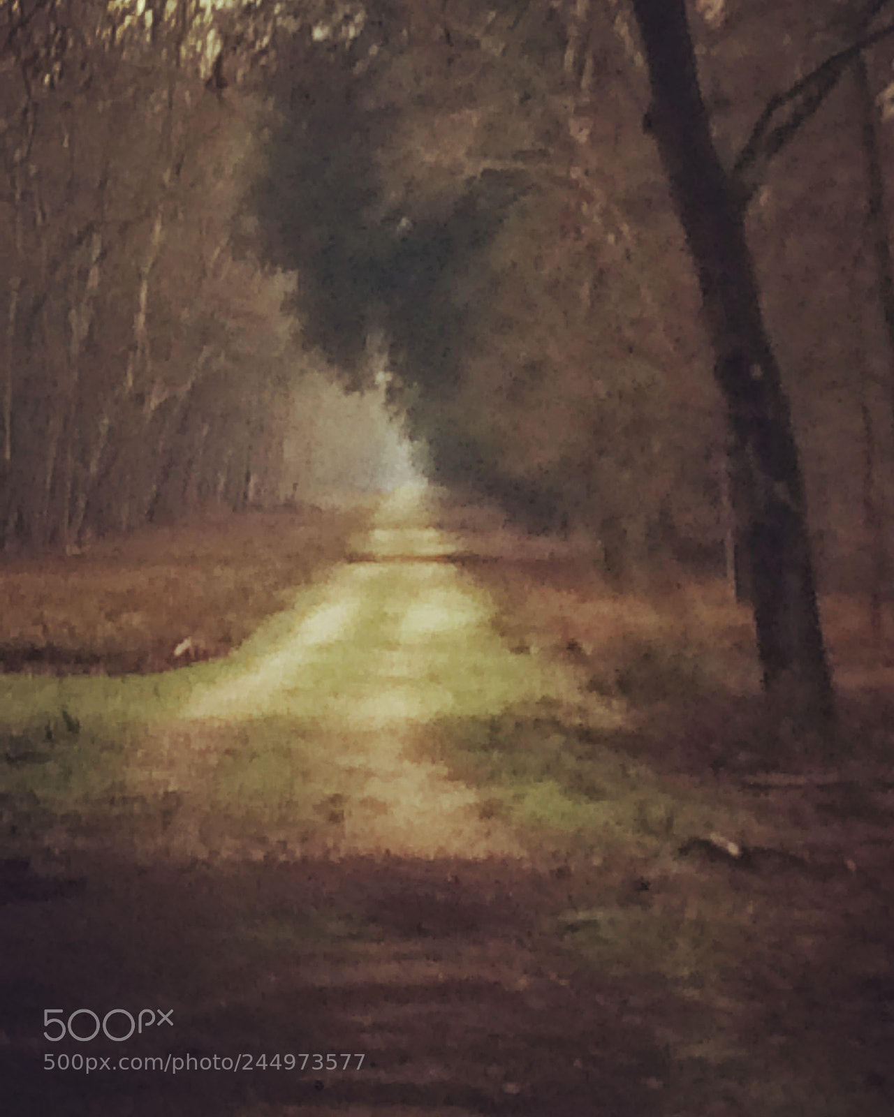 Apple iPhone 5s sample photo. Far away photography