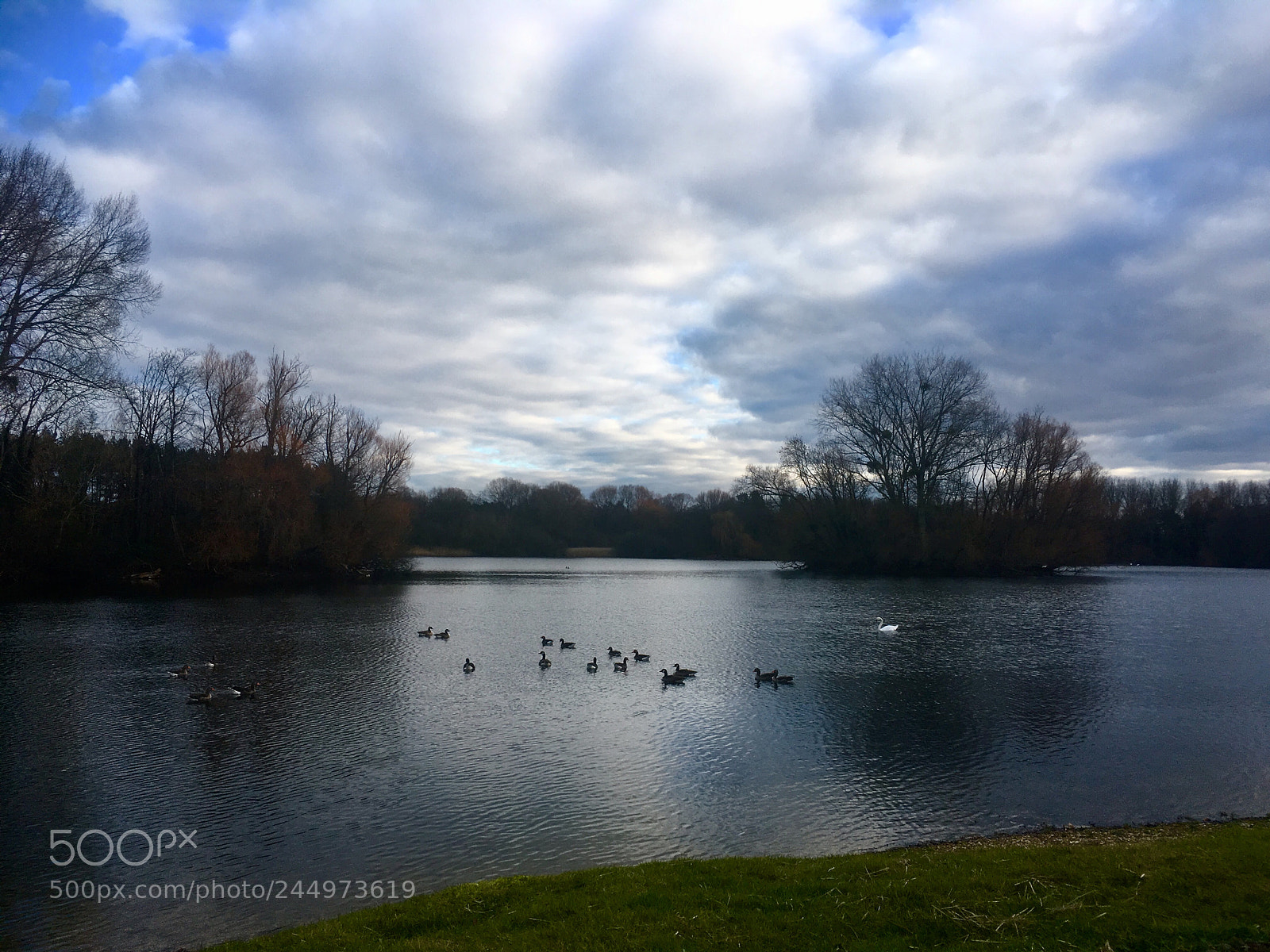 Apple iPhone SE sample photo. Frampton lakes photography