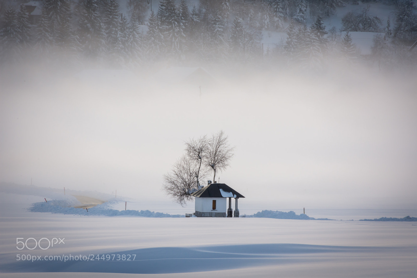 Nikon D7200 sample photo. Fog in the background photography