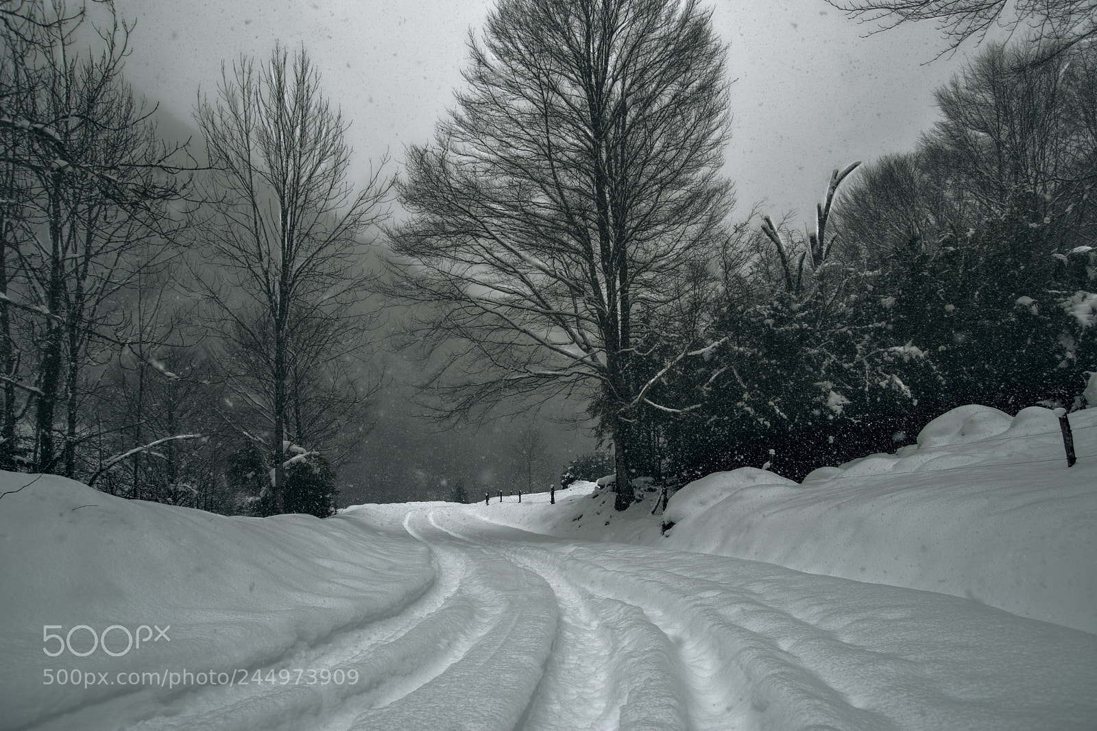 Nikon D5500 sample photo. Traces photography
