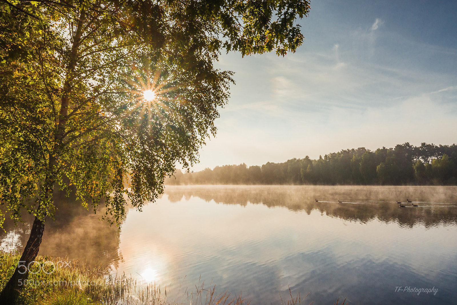 Nikon D610 sample photo. Morgens am see photography