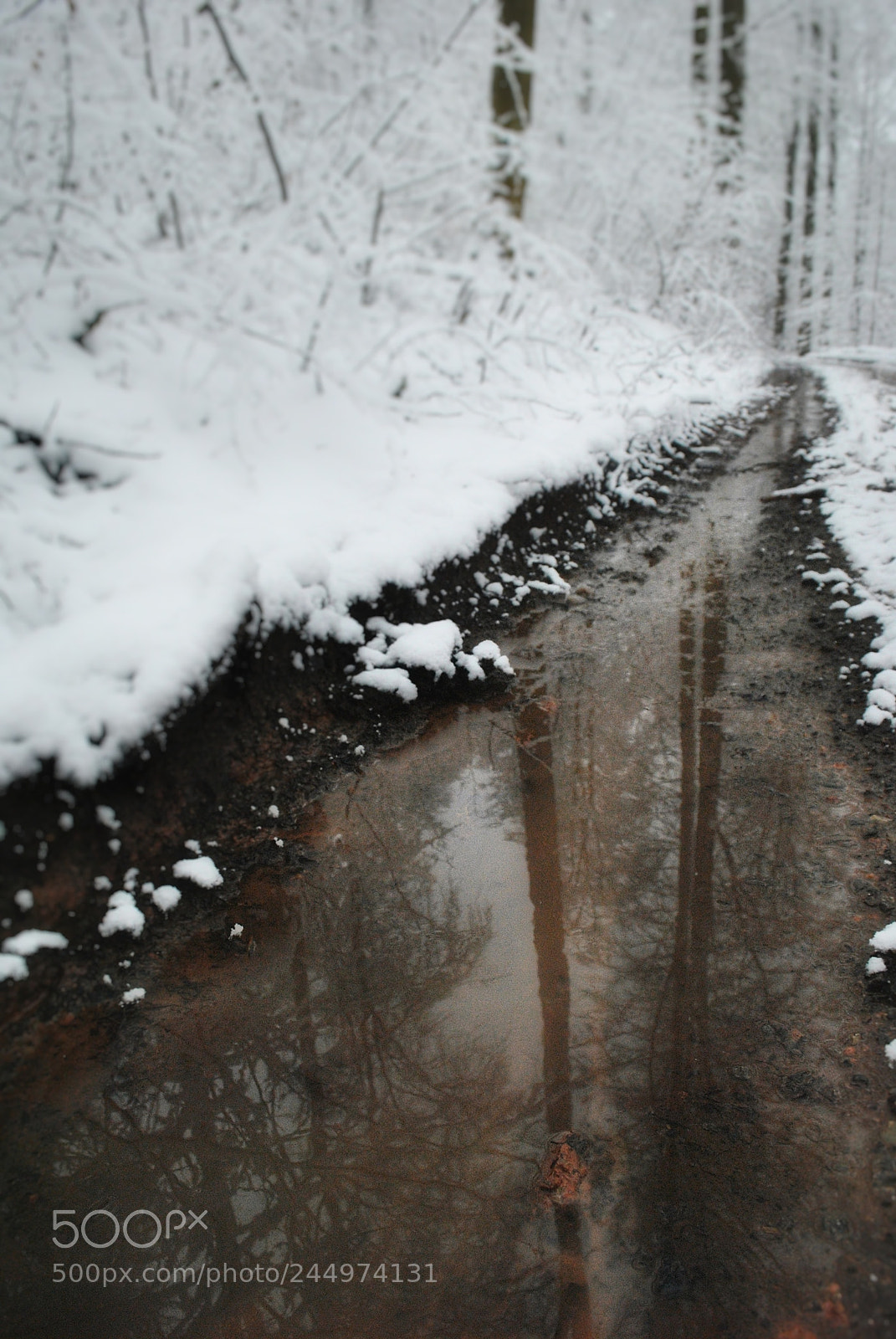 Nikon D3000 sample photo. Mirror photography