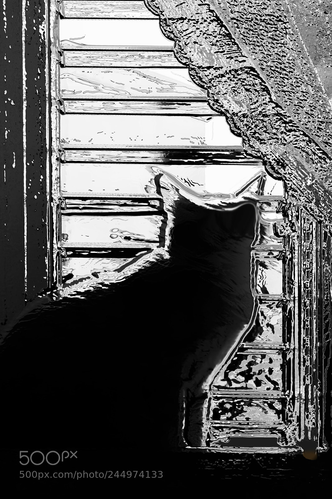 Sony SLT-A68 sample photo. На страже \ on guard photography