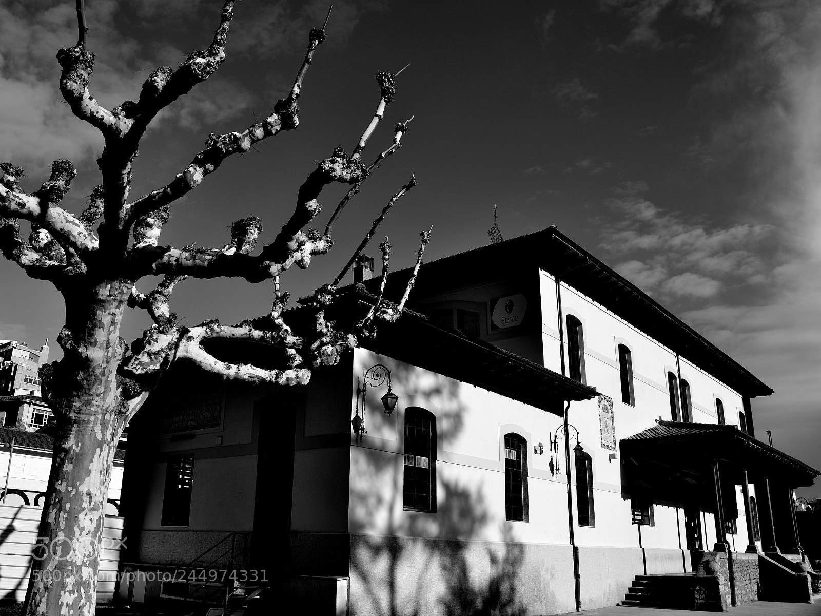 Nikon D3100 sample photo. Untitled photography