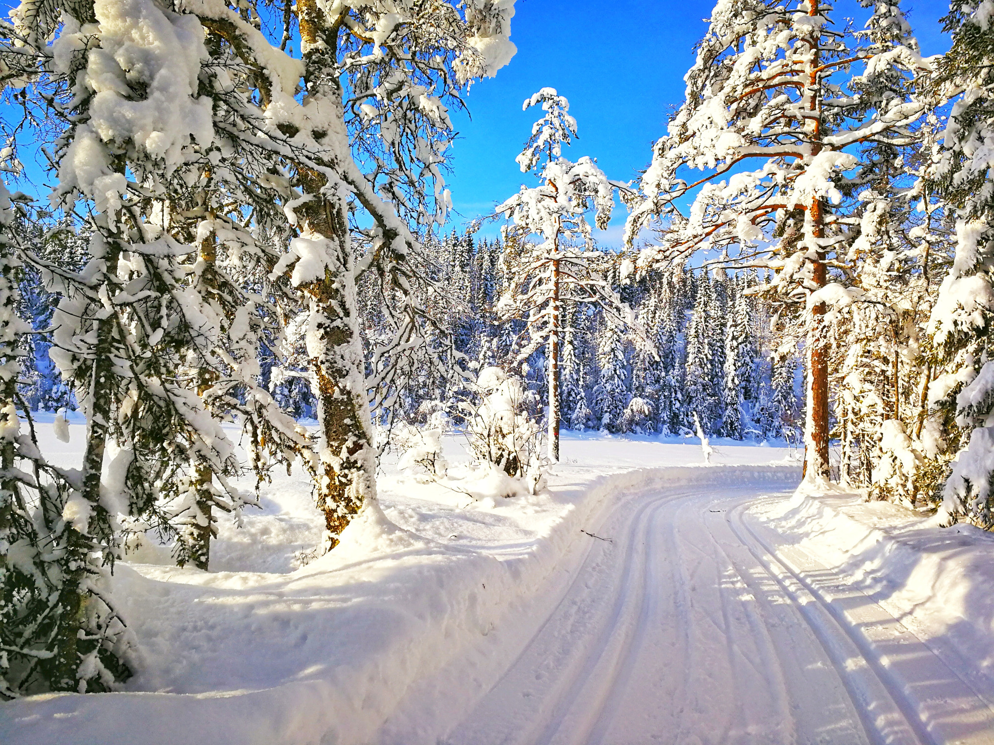 HUAWEI Mate 9 Pro sample photo. Winterwonderland photography