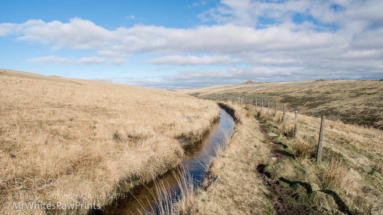 Nikon D7100 sample photo. Devonport leat photography