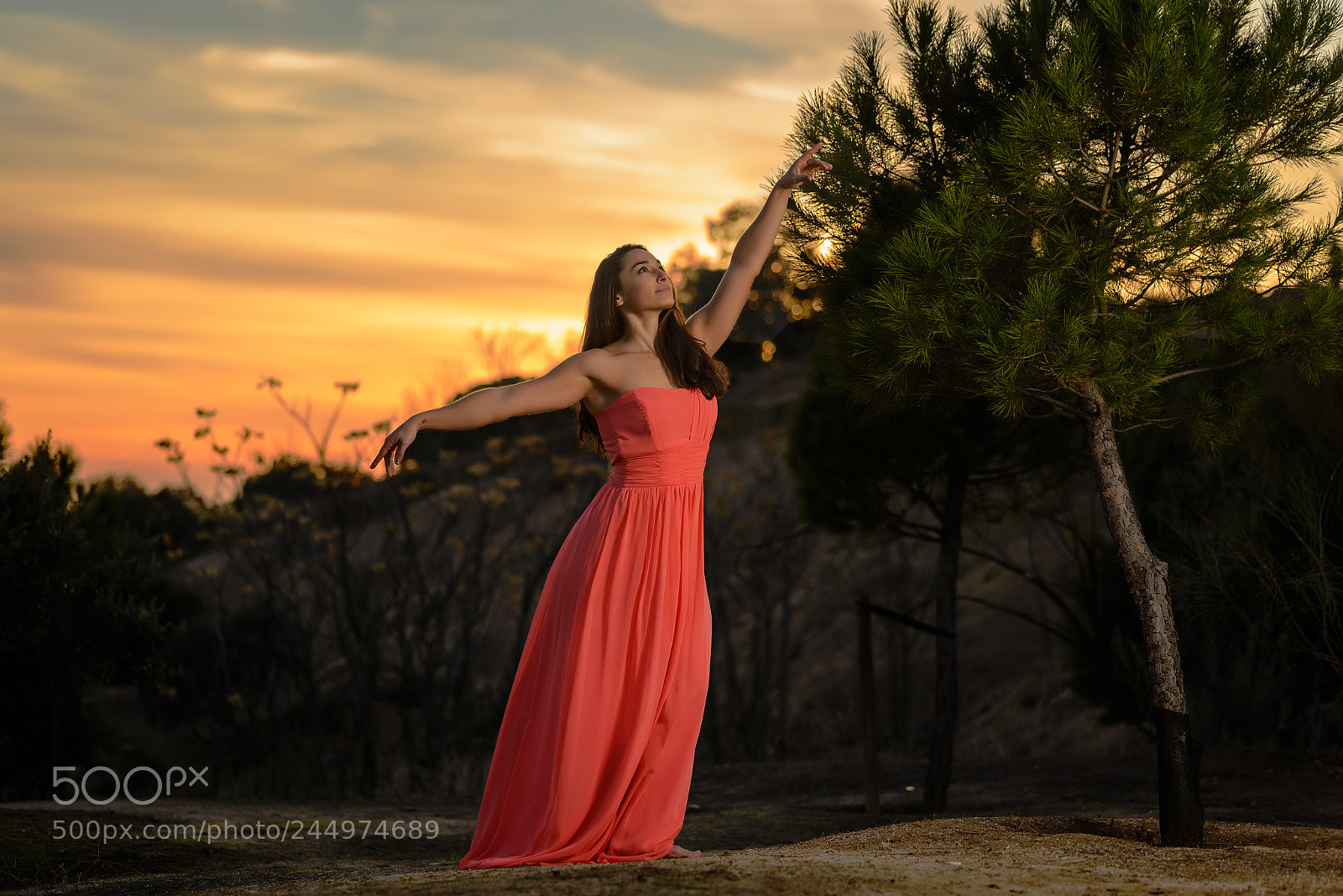 Nikon D610 sample photo. Untitled photography