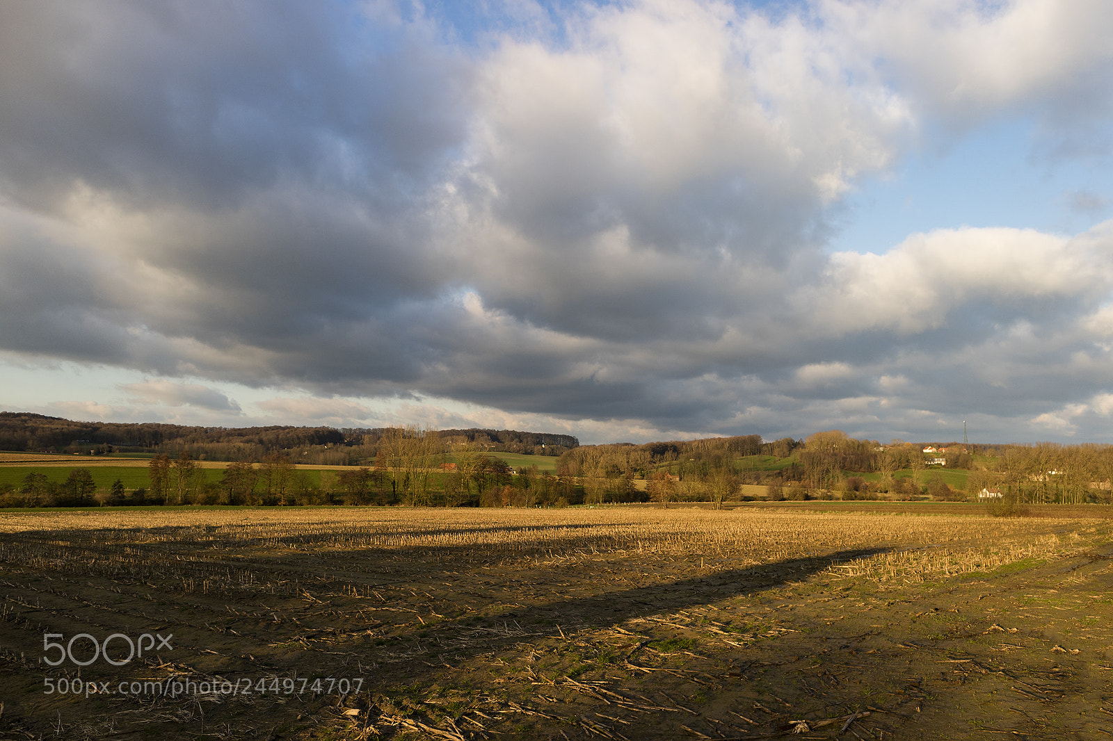 Canon EOS M3 sample photo. Golden hour photography