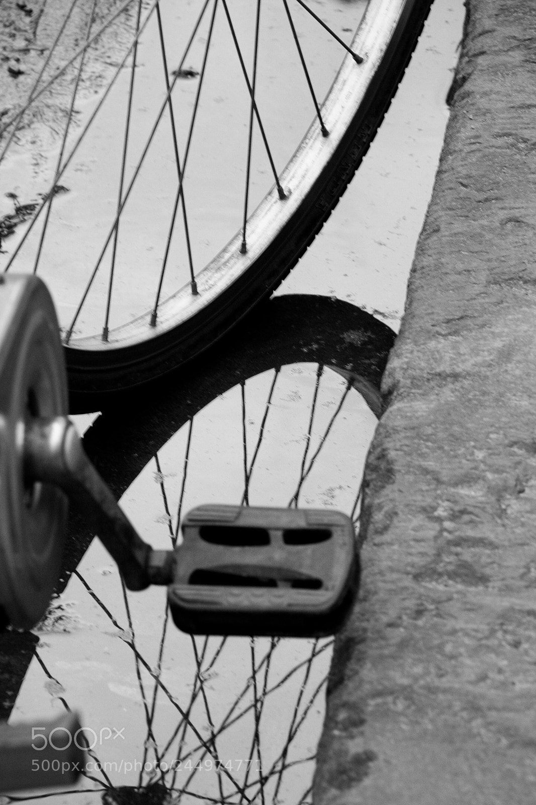 Canon EOS 450D (EOS Rebel XSi / EOS Kiss X2) sample photo. 2010  |  hoi an, vietnam photography