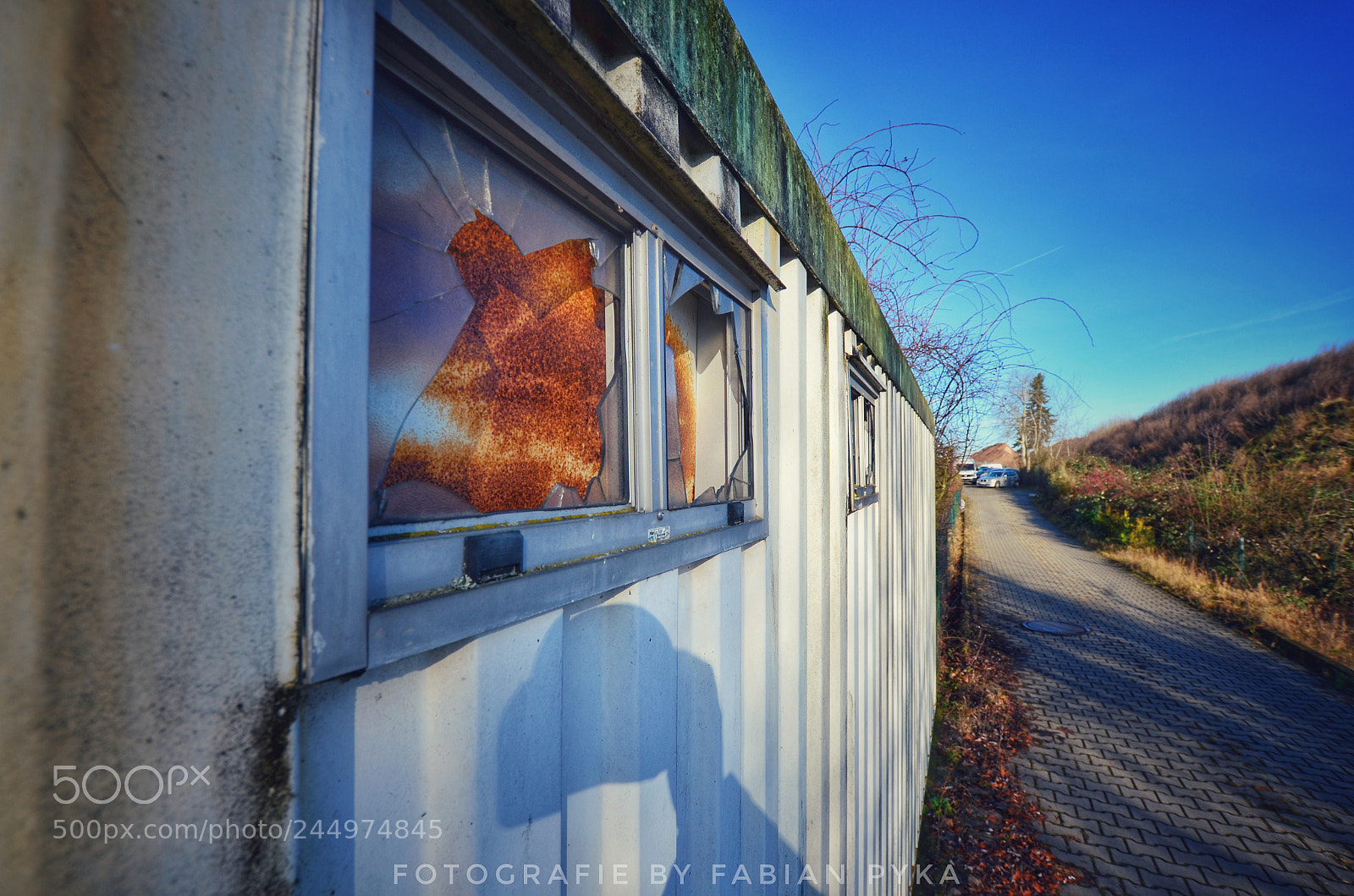 Nikon D5100 sample photo. Untitled photography