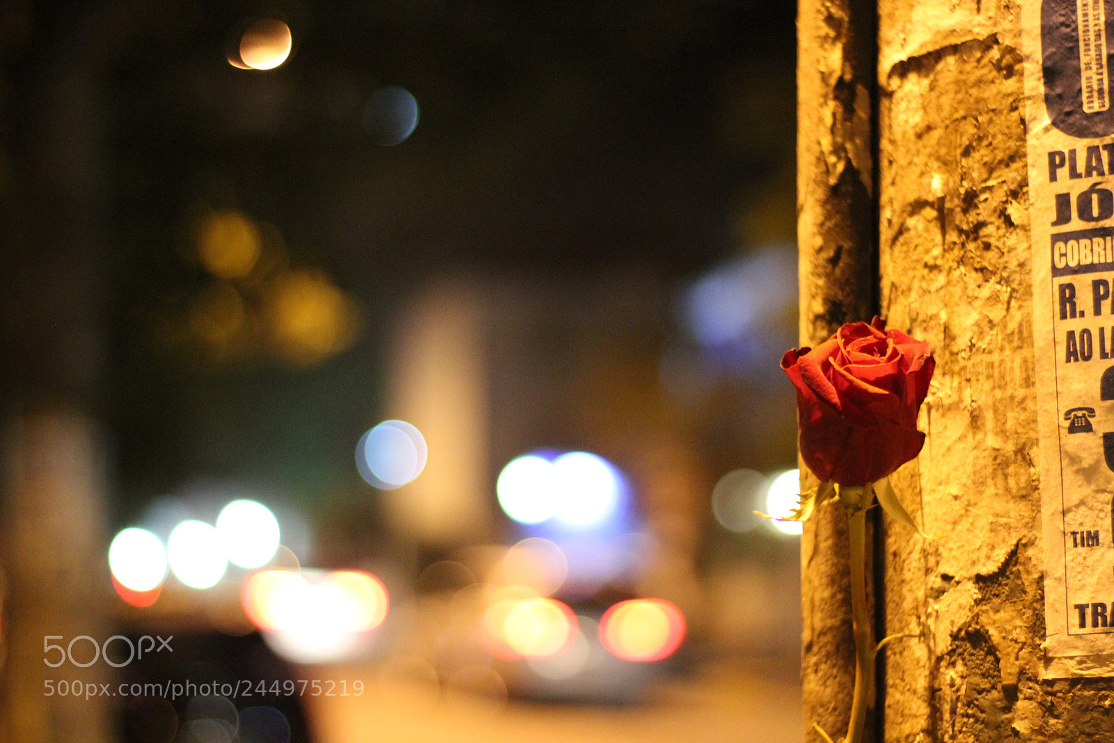 Canon EOS 550D (EOS Rebel T2i / EOS Kiss X4) sample photo. Can't afford love photography