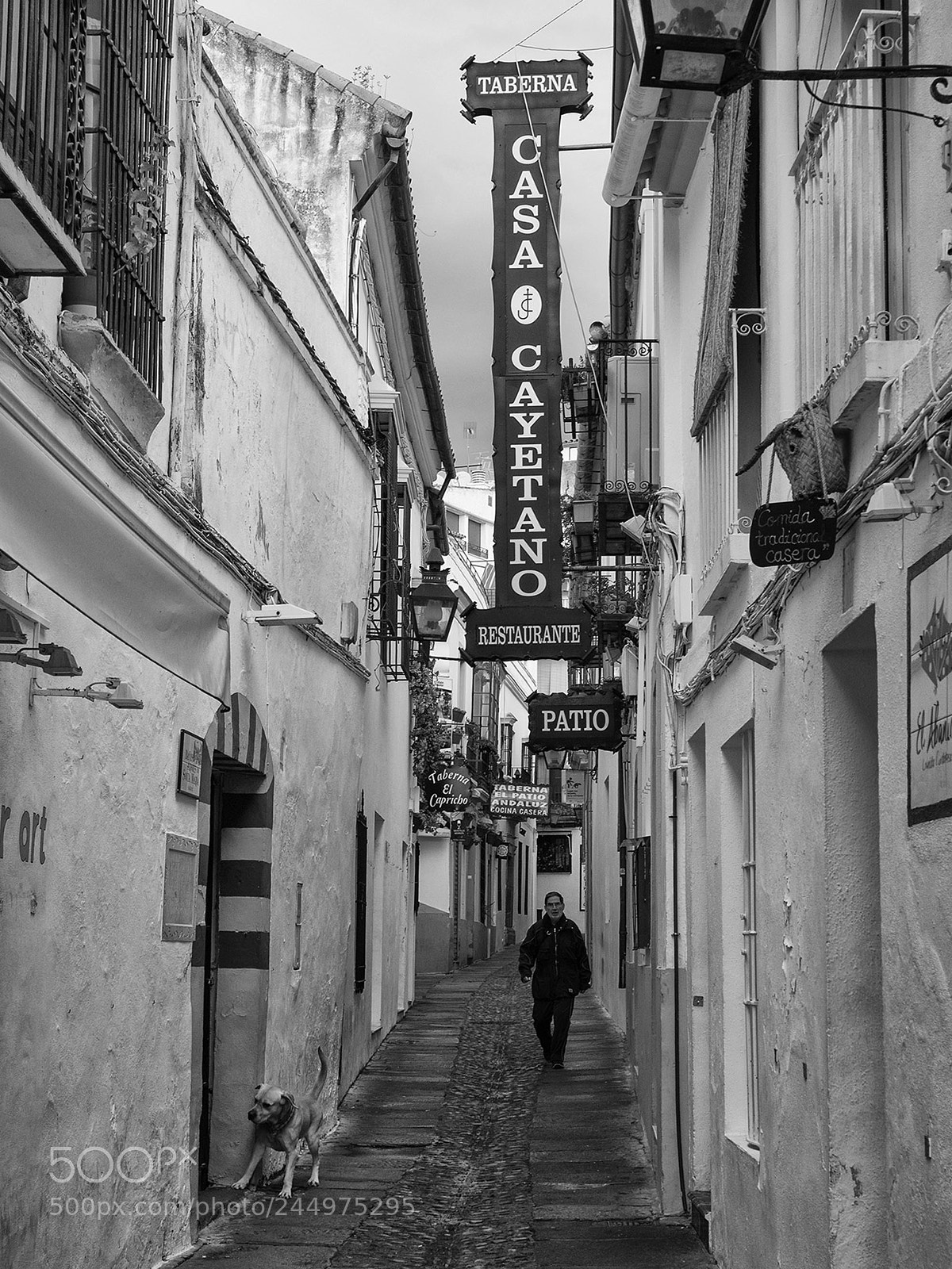 Olympus OM-D E-M1 sample photo. Street, c rdoba, andaluc photography