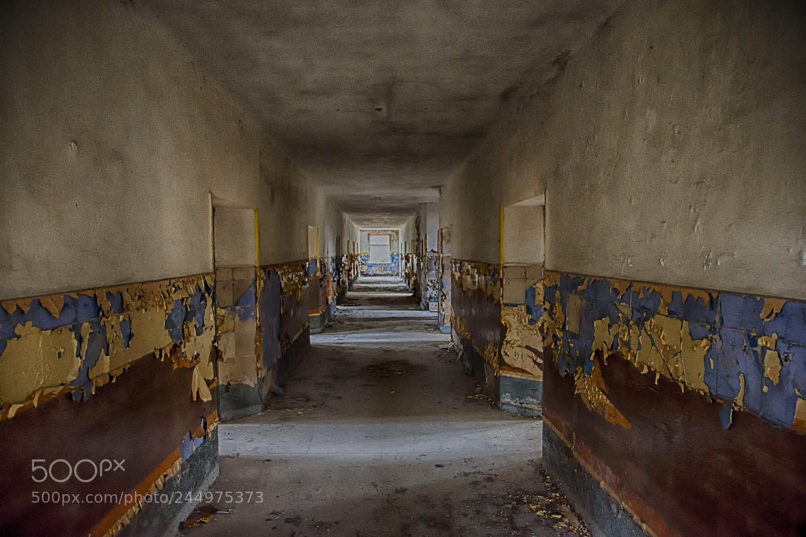 Nikon D7200 sample photo. The floor photography