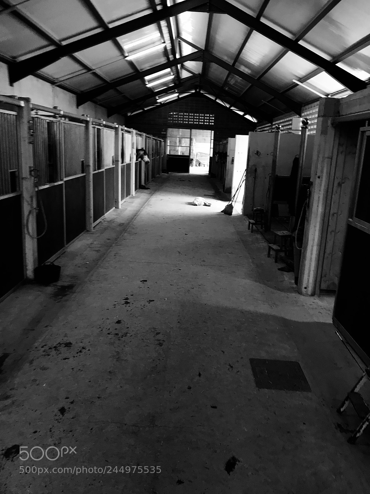Apple iPhone 7 sample photo. Cuadra hípica photography