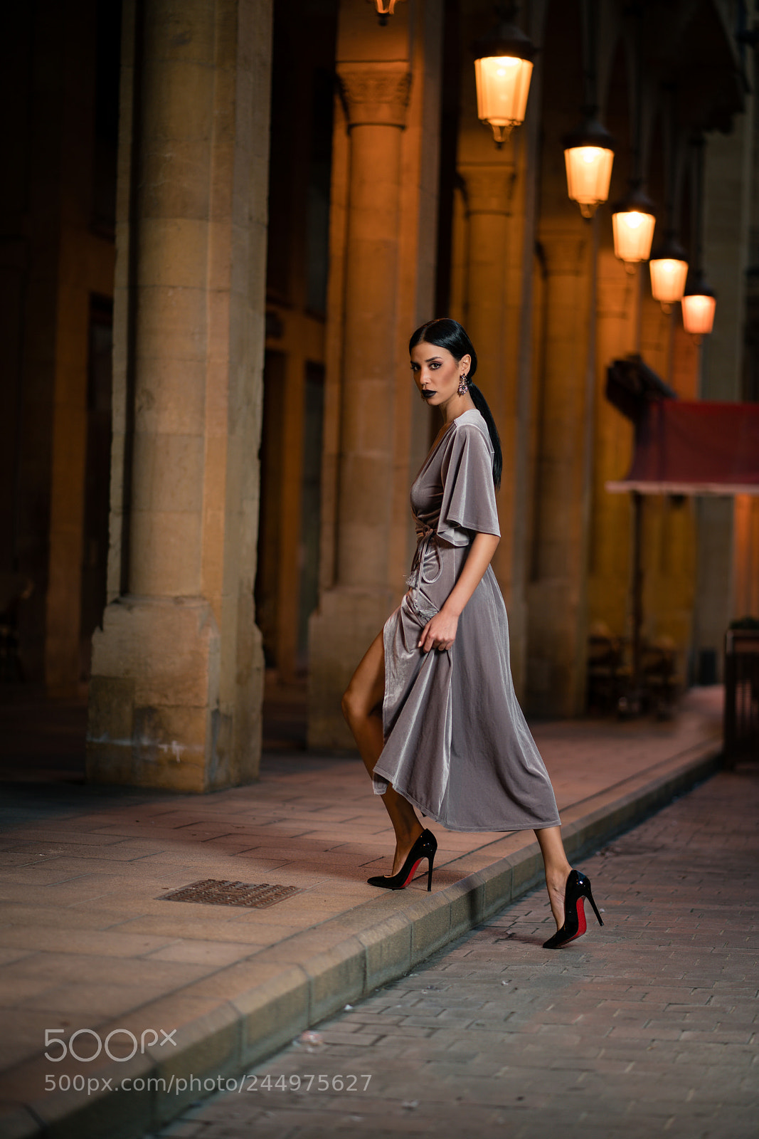 Sony a7R II sample photo. Elegance photography