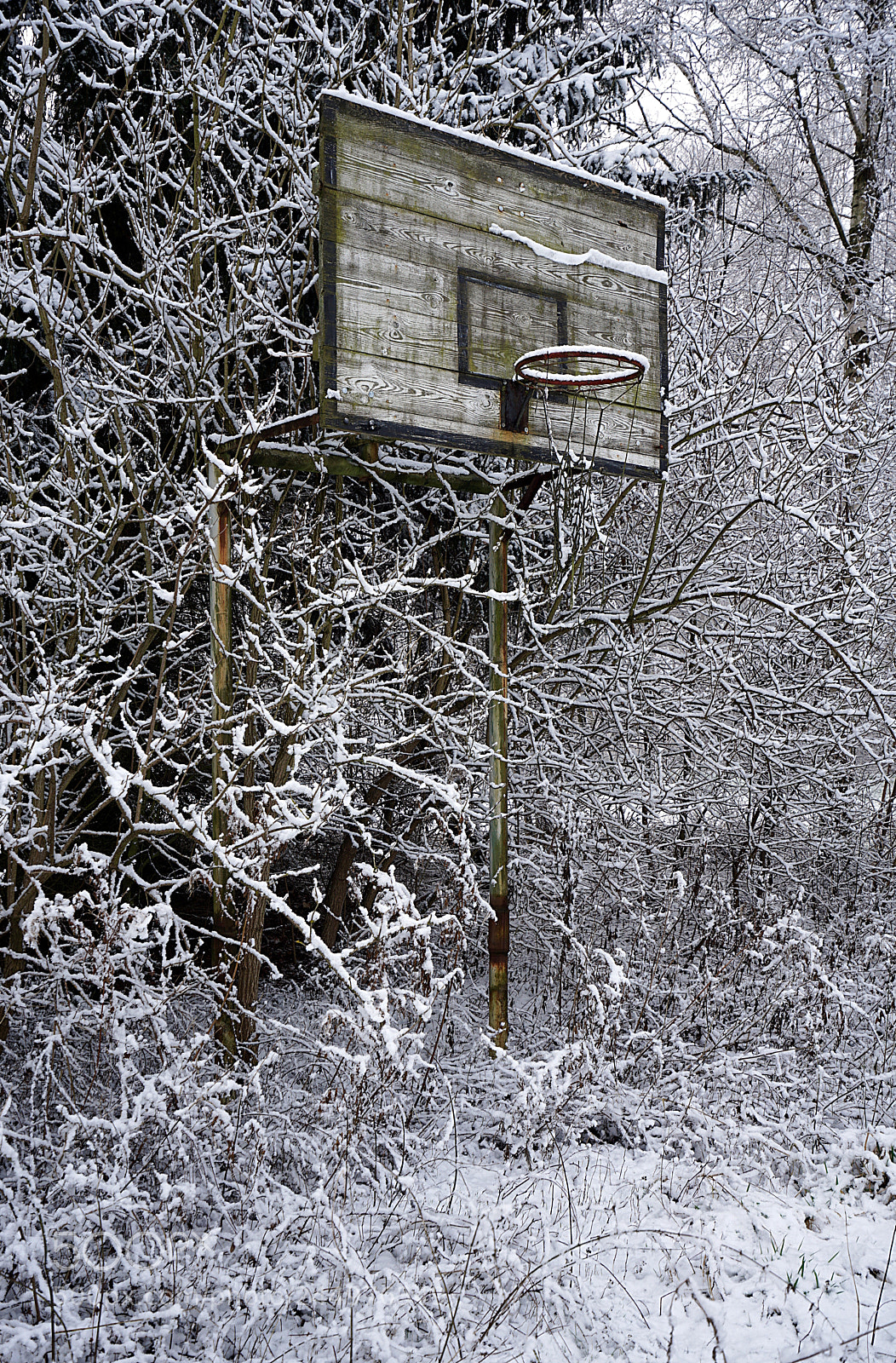 Sony a7 II sample photo. Abandoned rim in the photography
