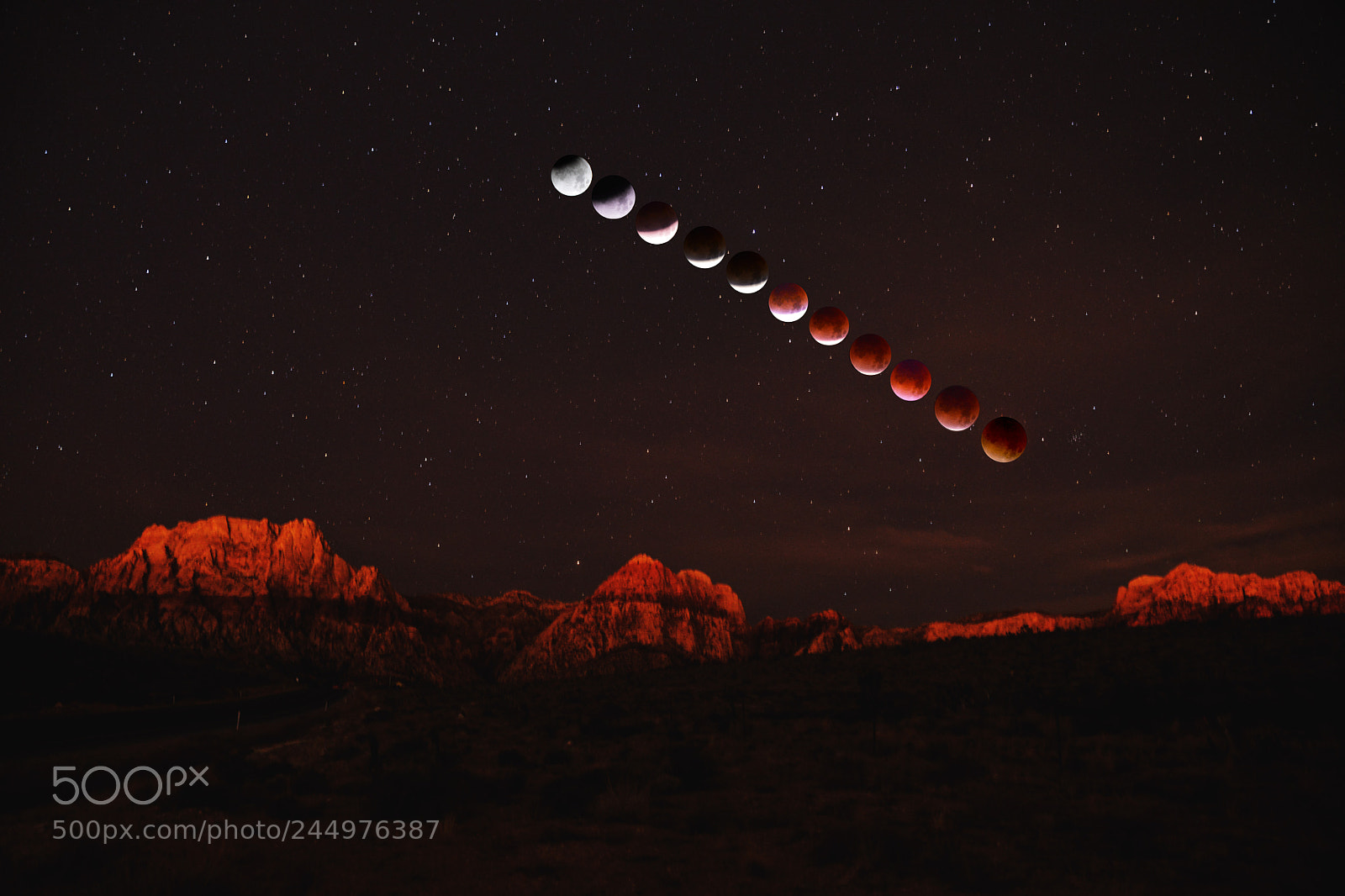 Nikon D800 sample photo. Super blood moon at photography