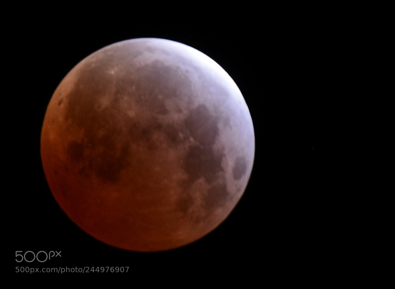 Nikon D800 sample photo. Bloodmoon closeup photography