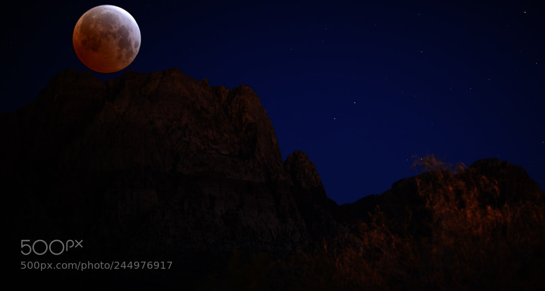Nikon D800 sample photo. Blood moon no photography