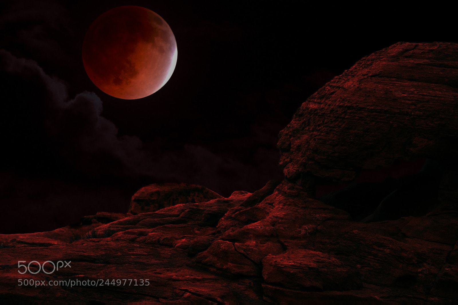 Nikon D800 sample photo. Bloodmoon nevada photography