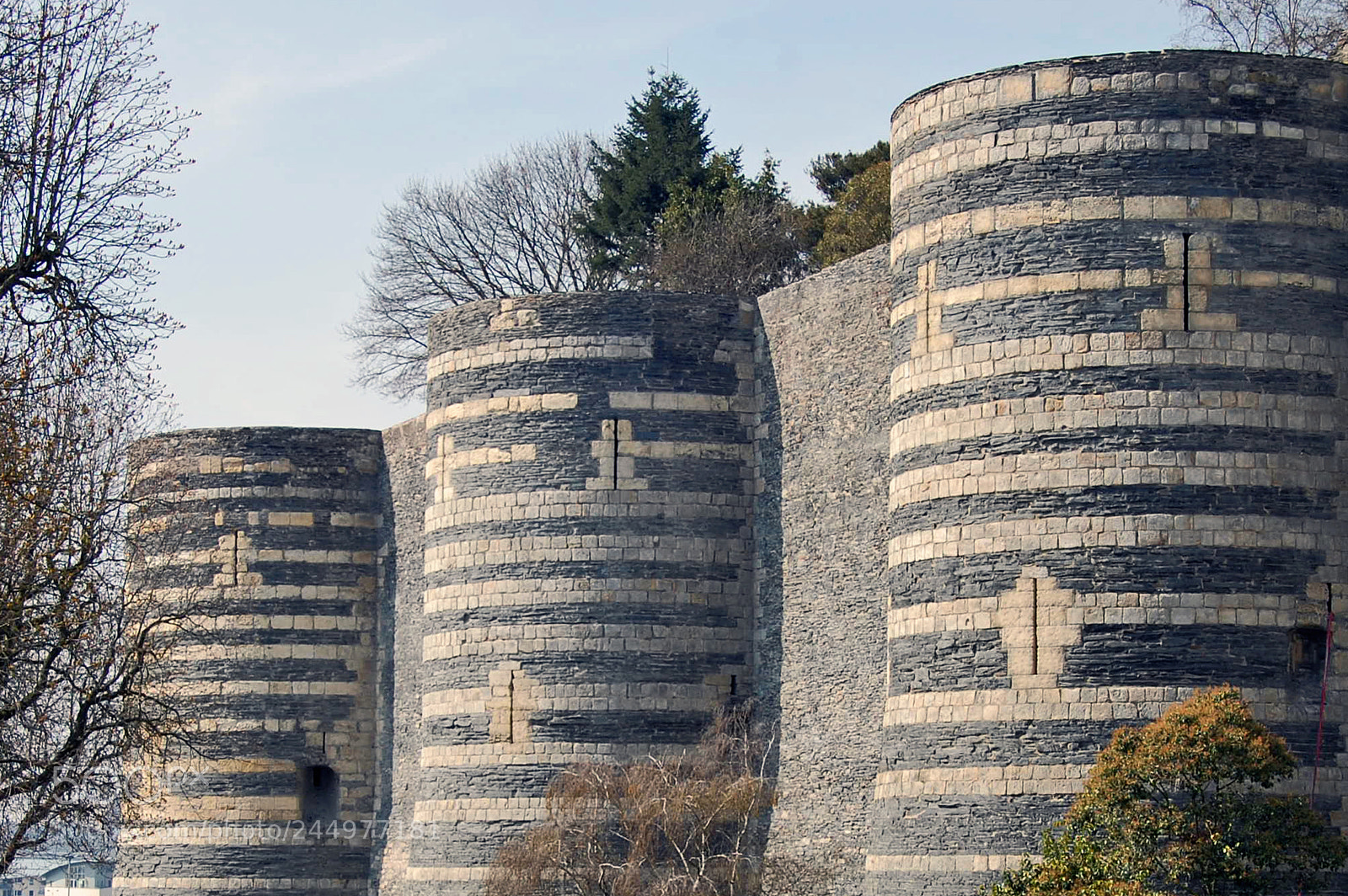 Nikon D40 sample photo. Château d'angers photography