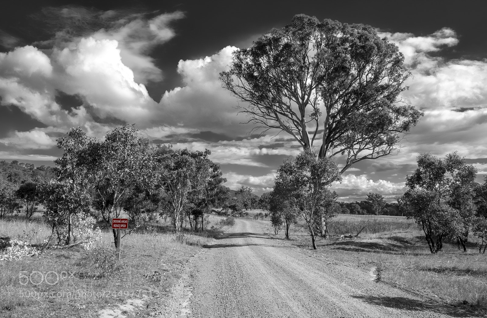Fujifilm X-E2 sample photo. Red crossing photography