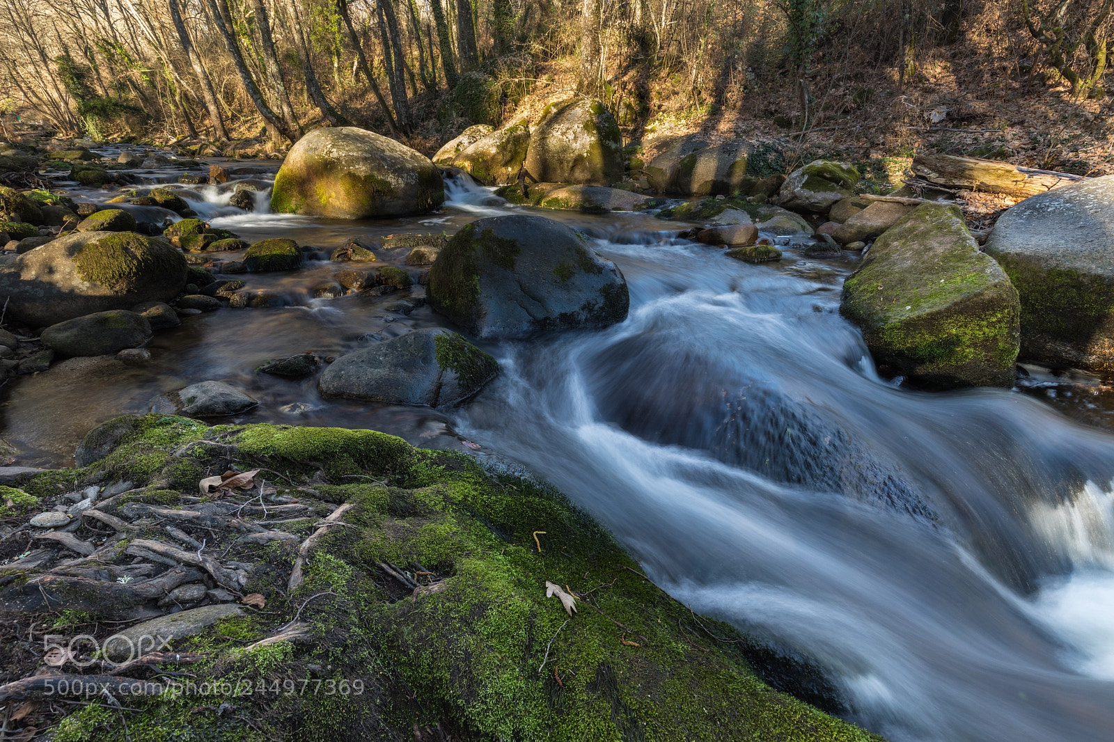 Canon EOS 6D Mark II sample photo. Garganta de pedro chate photography