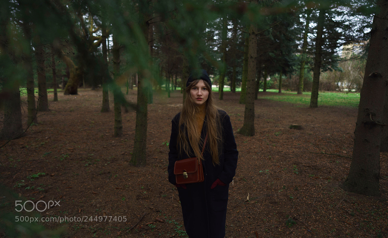 Sony a7 II sample photo. 2018 photography