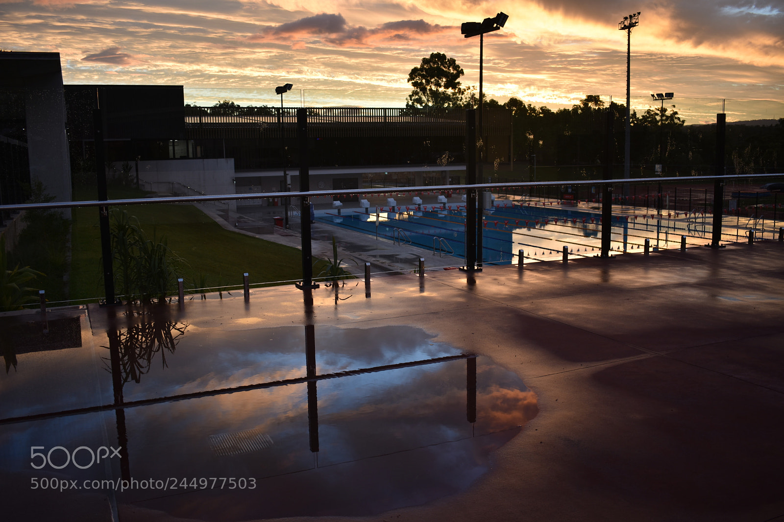 Nikon D3400 sample photo. After the rain photography