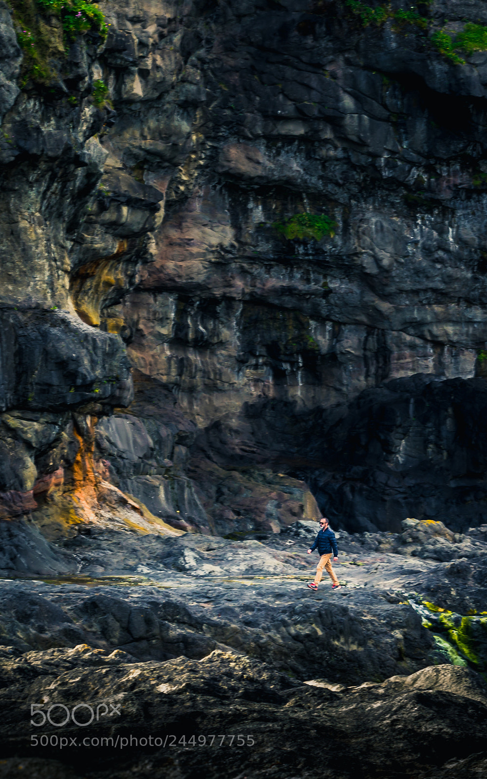 Nikon D3100 sample photo. Man walking in a photography