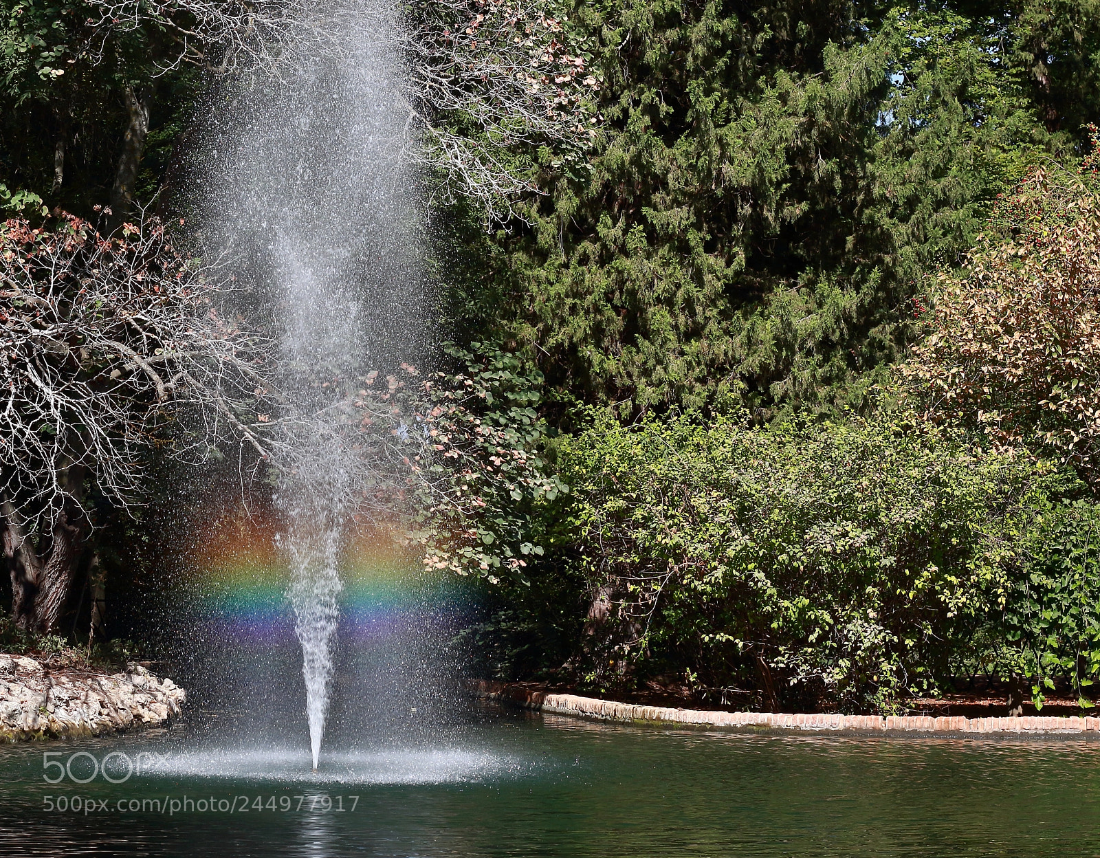 Canon EOS 700D (EOS Rebel T5i / EOS Kiss X7i) + Canon EF 50mm F1.8 STM sample photo. Pequeño arco iris photography