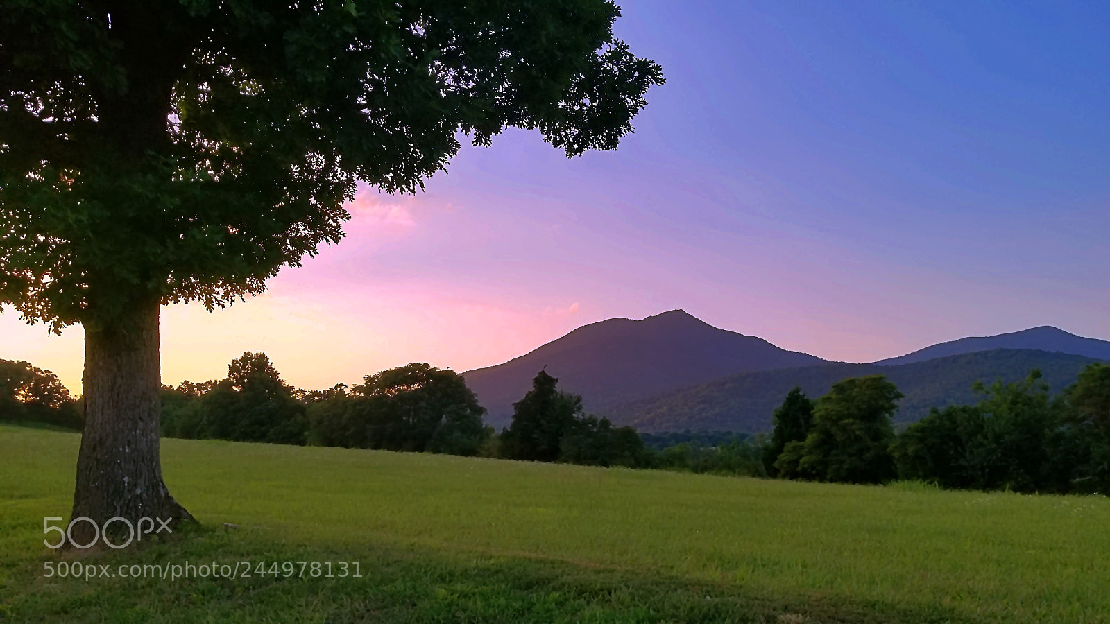 Samsung Galaxy S8 sample photo. Purple mountain photography