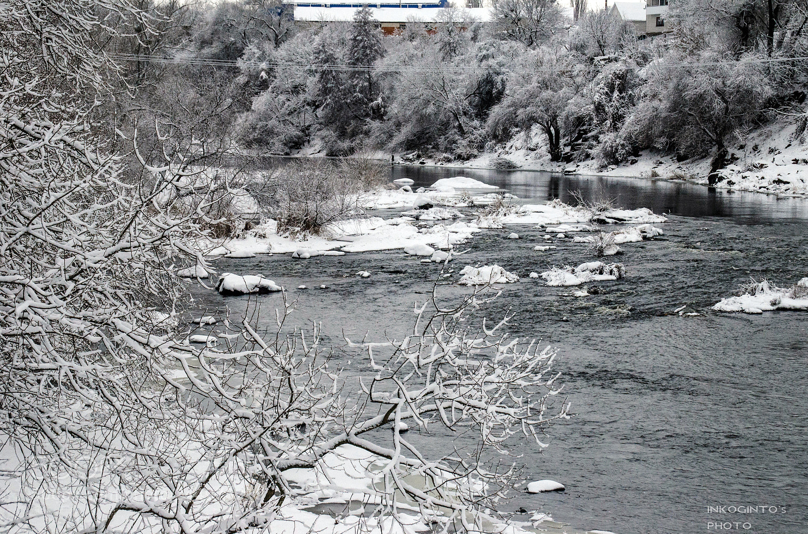 Nikon D5100 sample photo. Air. wind. photography