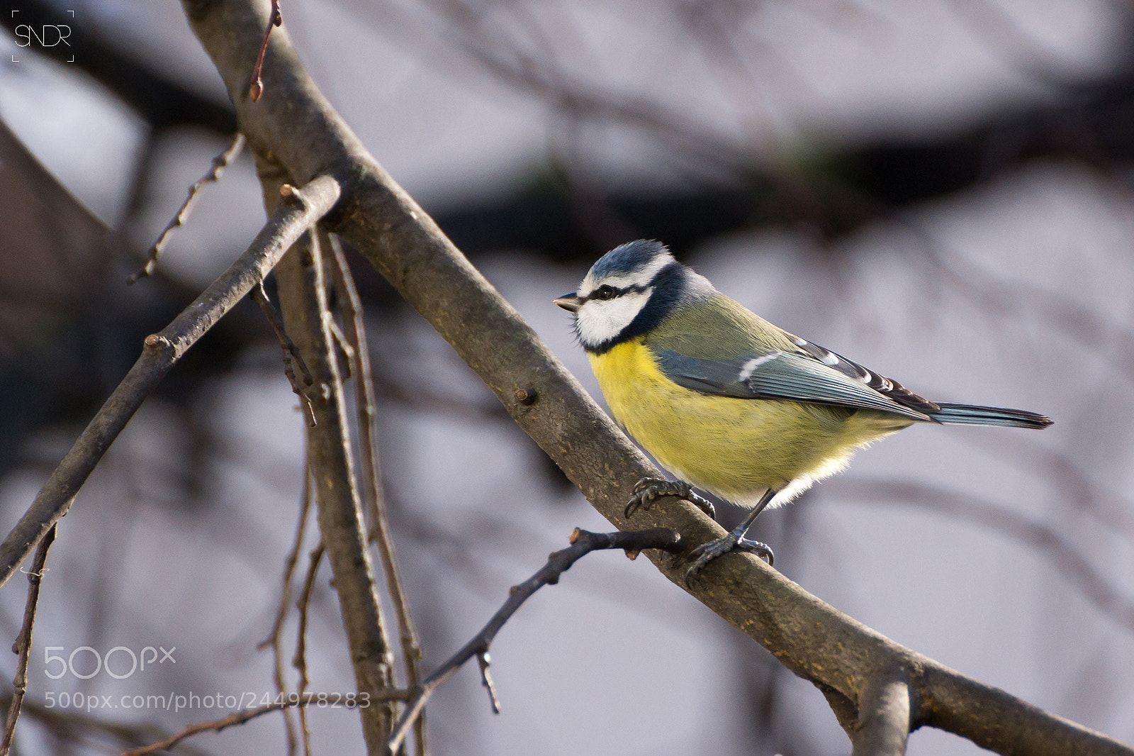 Sony SLT-A77 sample photo. Beauty of nature photography