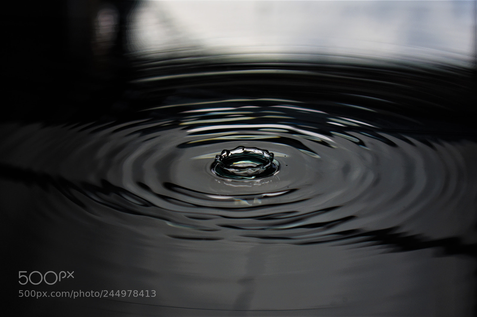 Nikon D3400 sample photo. Water drop photography