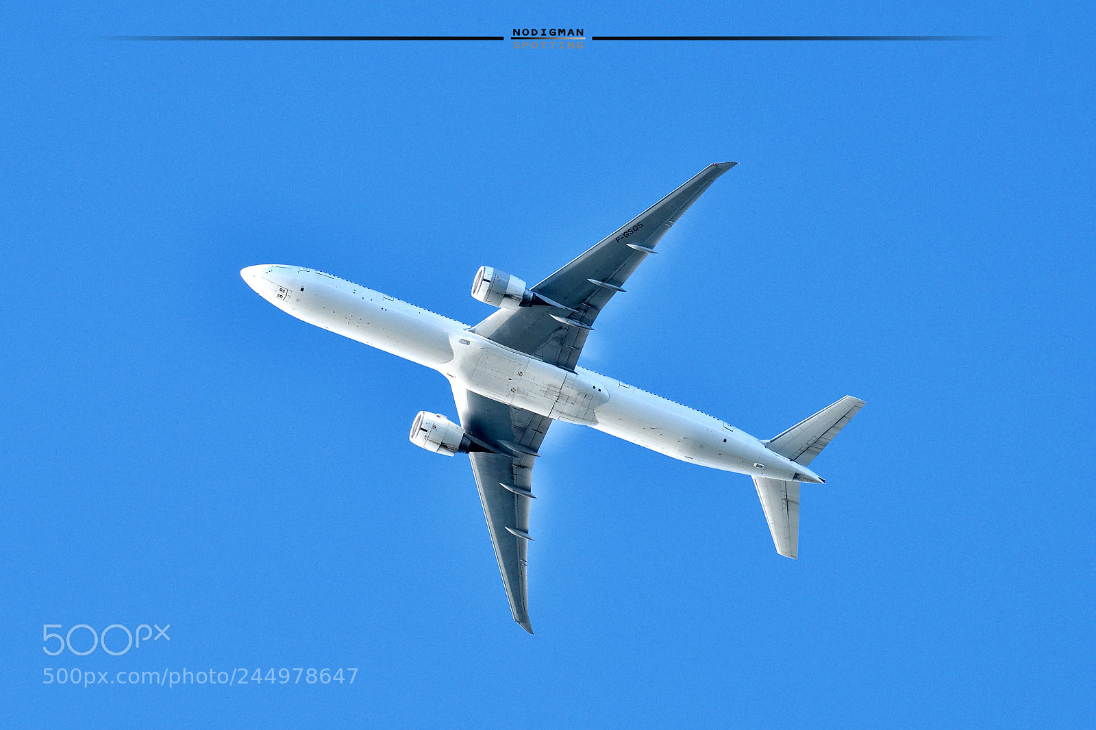 Nikon D500 sample photo. Qs photography