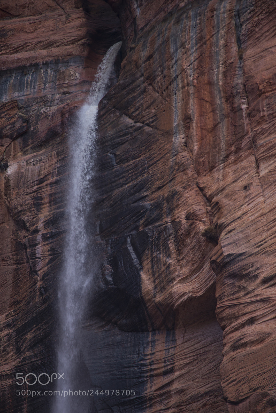 Nikon D800 sample photo. Zionwaterfall photography