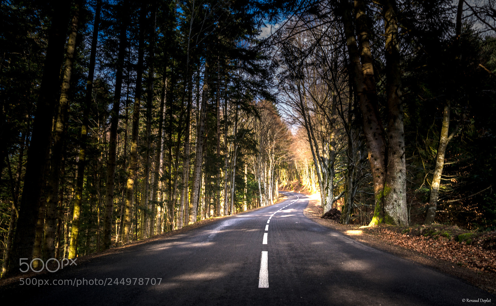 Nikon D7100 sample photo. Route..... photography
