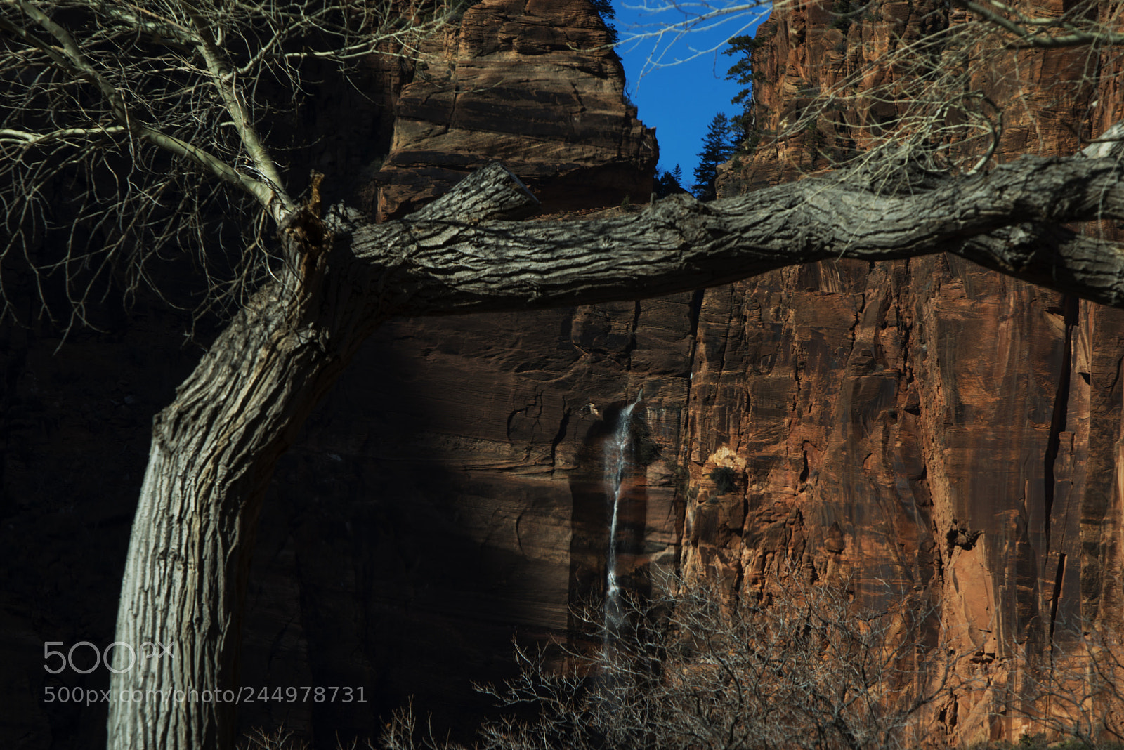 Nikon D800 sample photo. Zionwaterfall photography