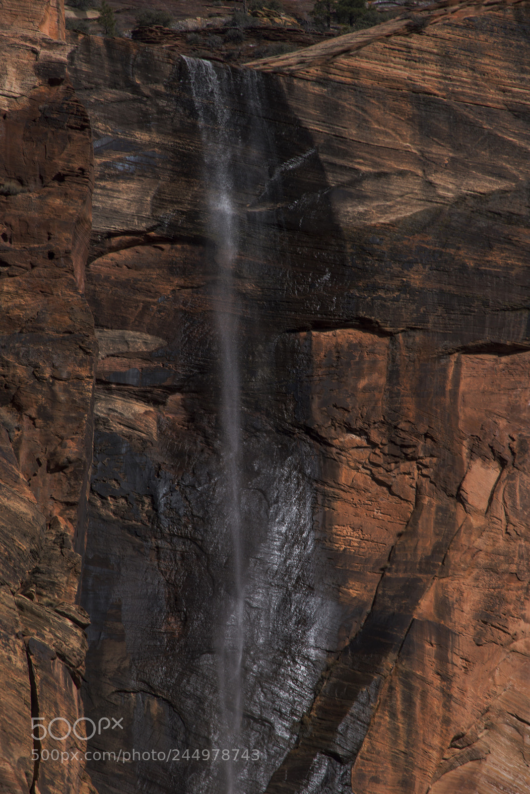 Nikon D800 sample photo. Zionwaterfall photography